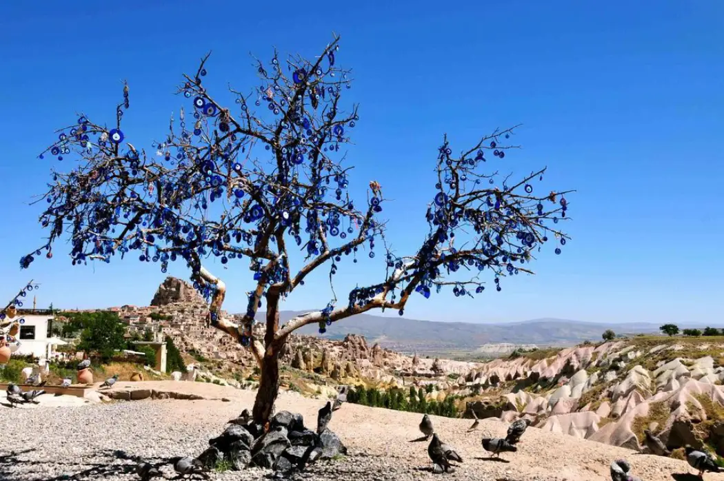 Photography Tips in Pigeon Valley